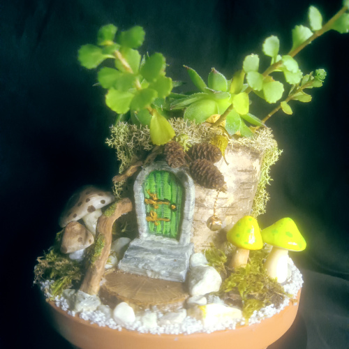 Fairy House live Plant #4