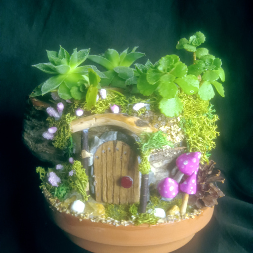 Fairy House live Plant #2