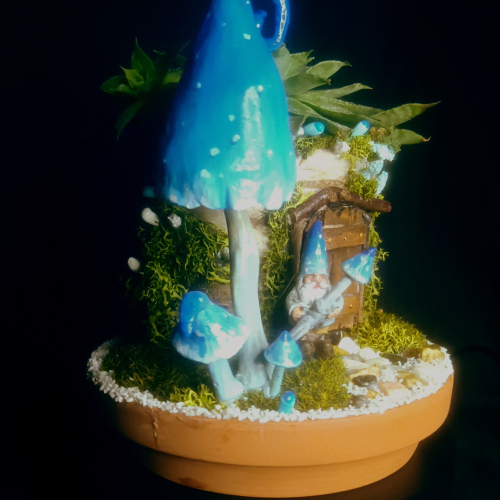 Gnome House live Plant #3